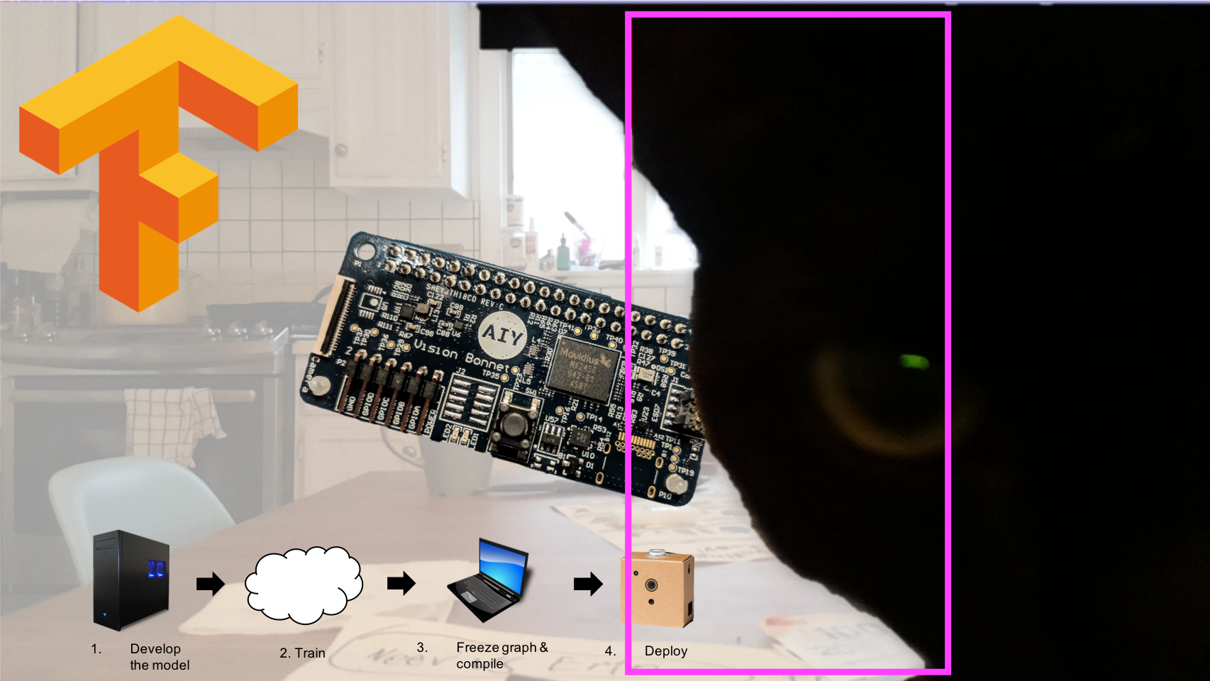 cogint.ai: Computer Vision Training, the AIY Vision Kit, and Cats
